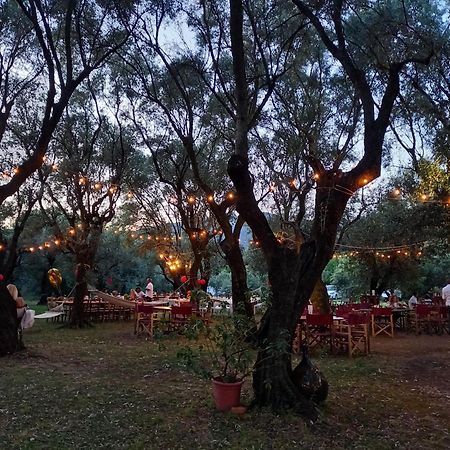 Antico Uliveto Guest House Seravezza Luaran gambar