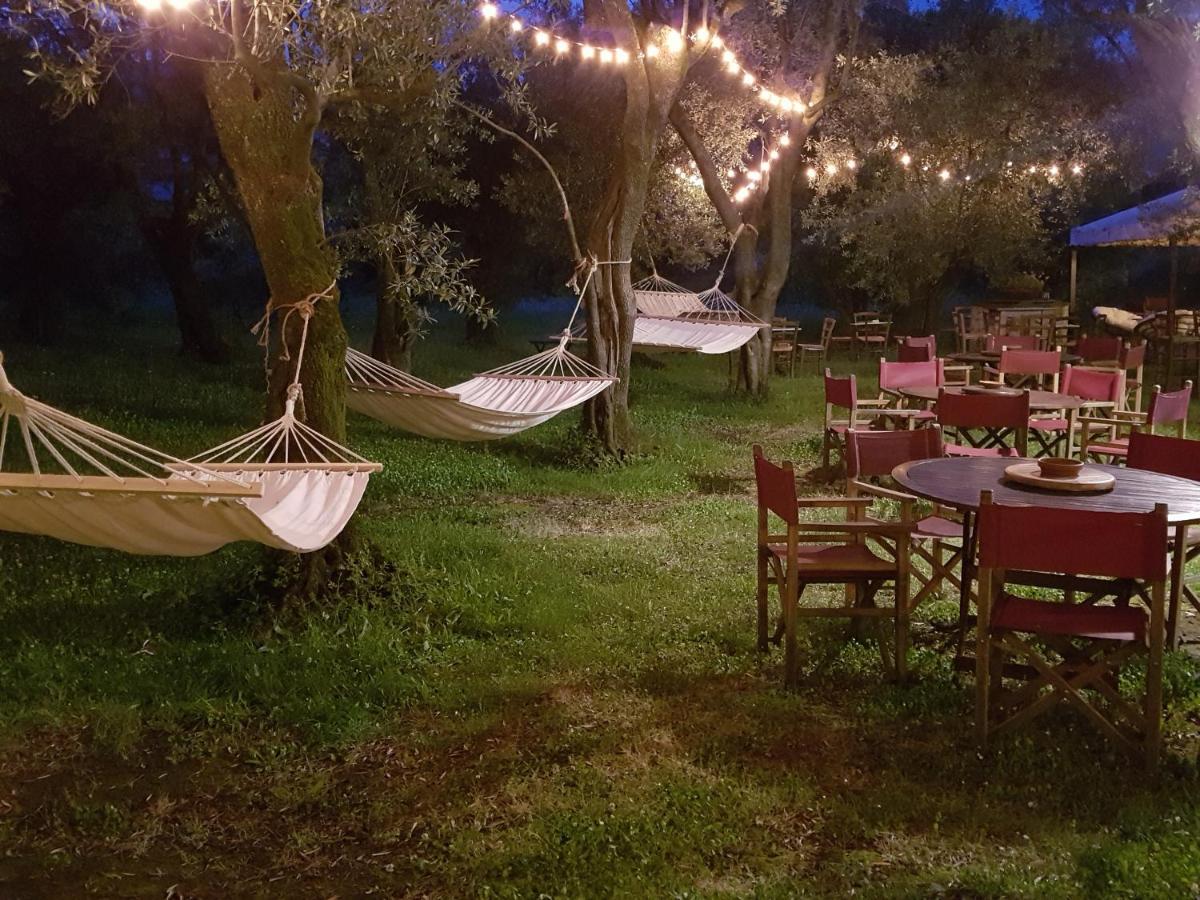 Antico Uliveto Guest House Seravezza Luaran gambar