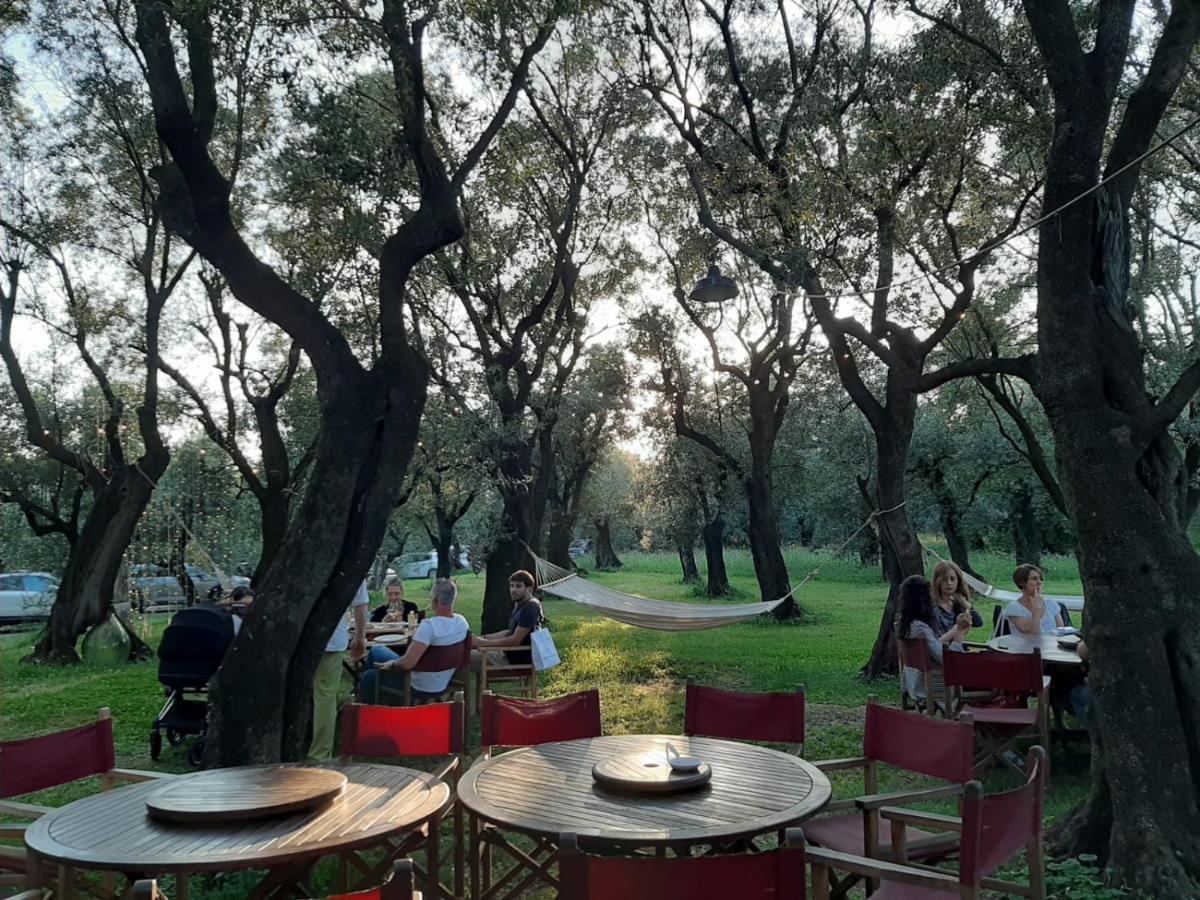 Antico Uliveto Guest House Seravezza Luaran gambar