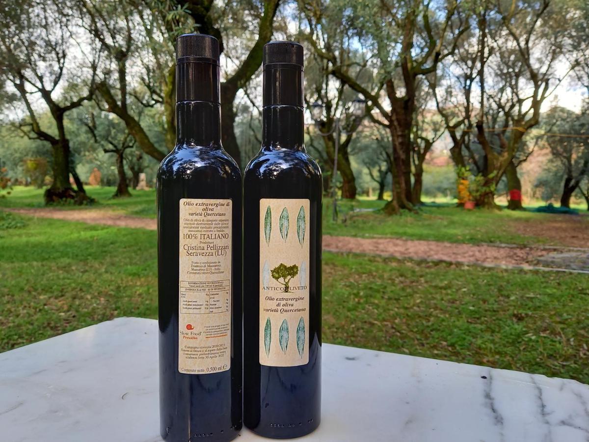 Antico Uliveto Guest House Seravezza Luaran gambar