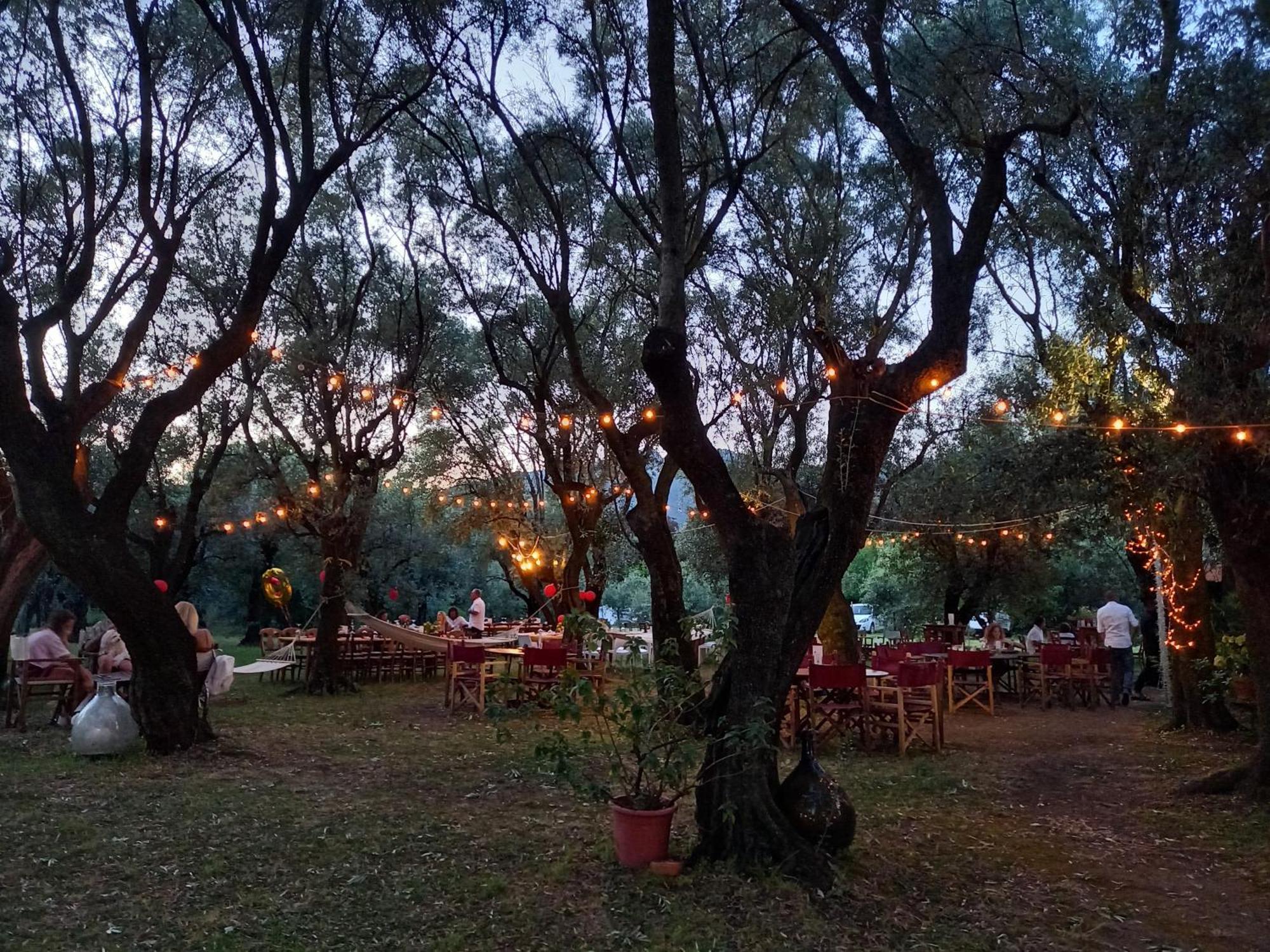 Antico Uliveto Guest House Seravezza Luaran gambar