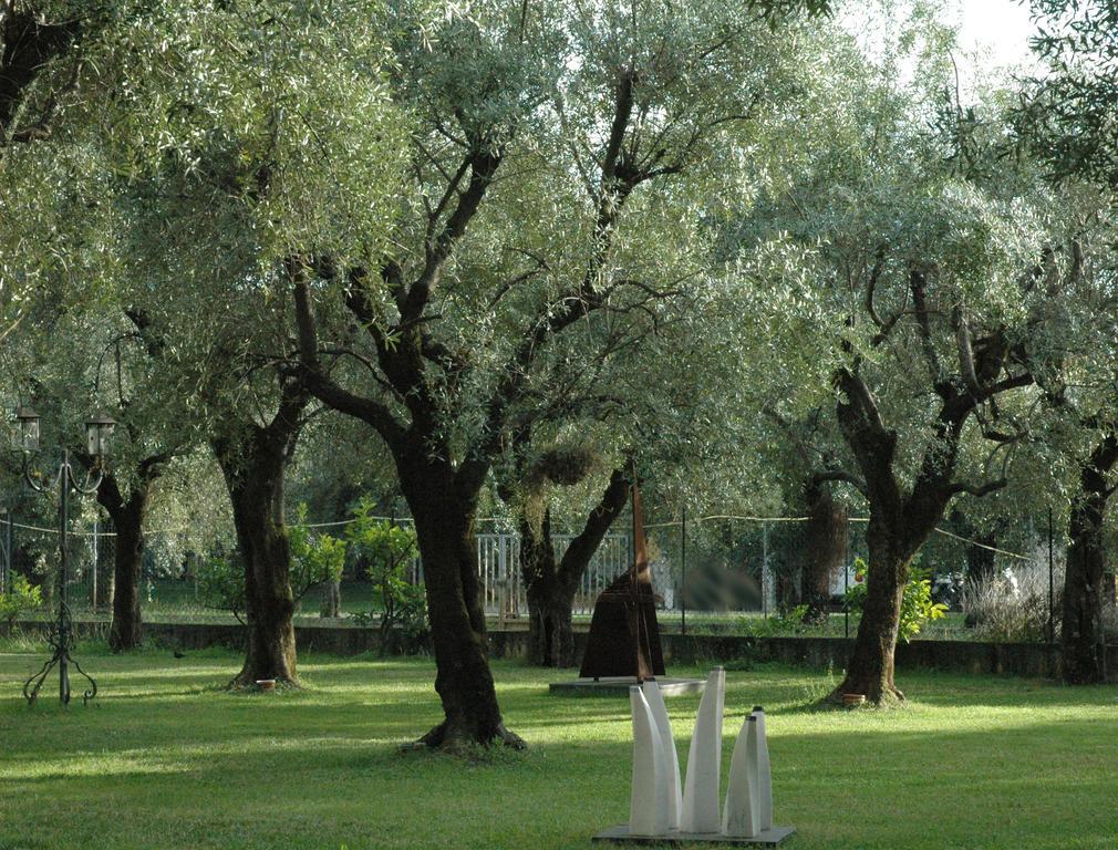 Antico Uliveto Guest House Seravezza Luaran gambar