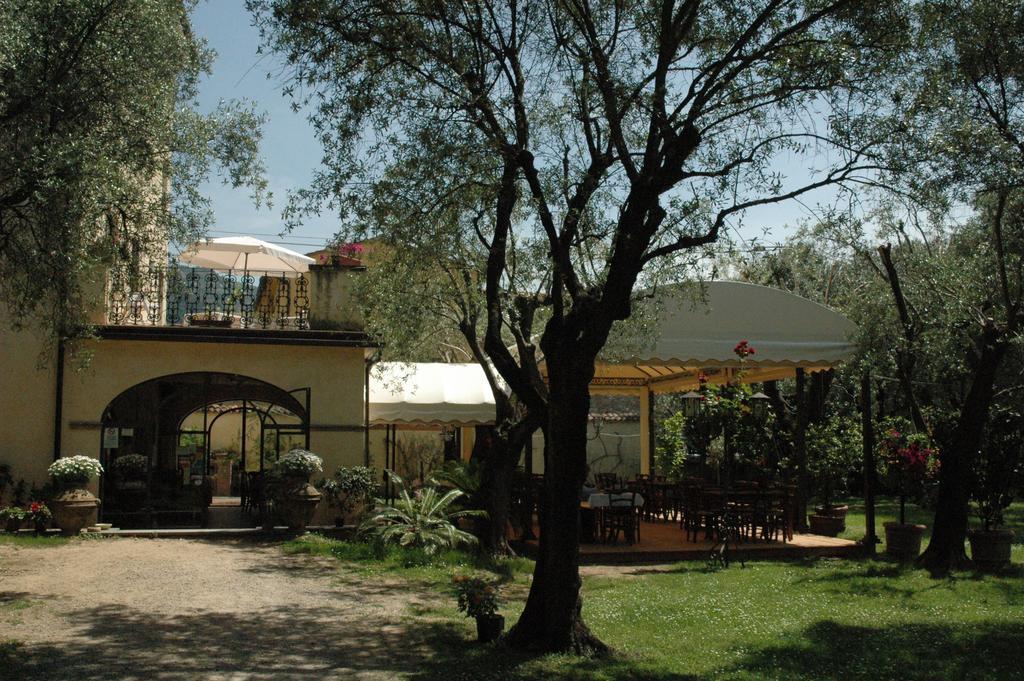 Antico Uliveto Guest House Seravezza Luaran gambar