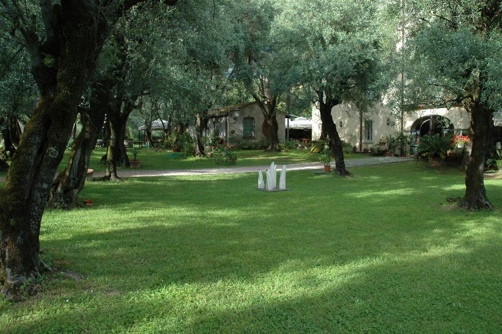 Antico Uliveto Guest House Seravezza Luaran gambar