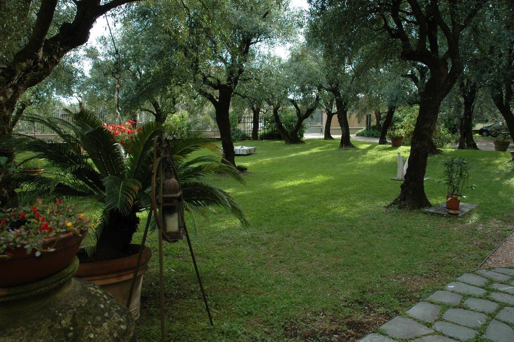 Antico Uliveto Guest House Seravezza Luaran gambar