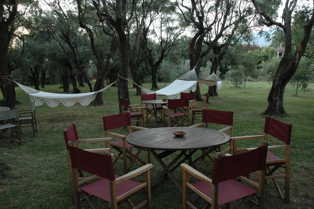 Antico Uliveto Guest House Seravezza Luaran gambar