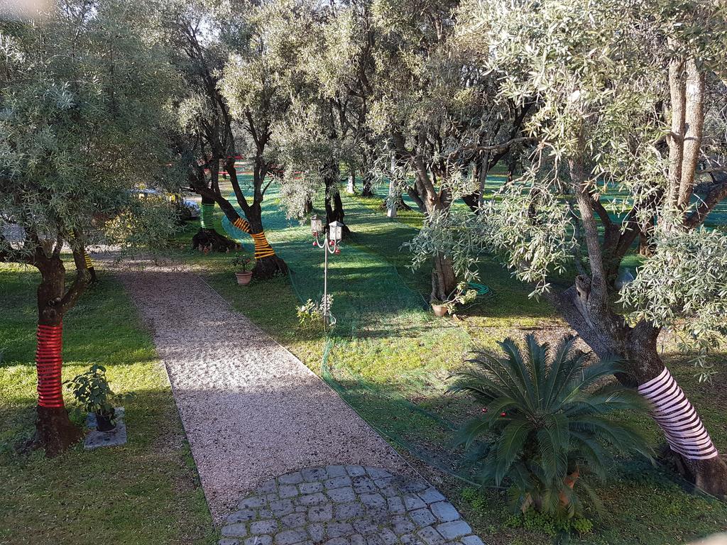 Antico Uliveto Guest House Seravezza Luaran gambar