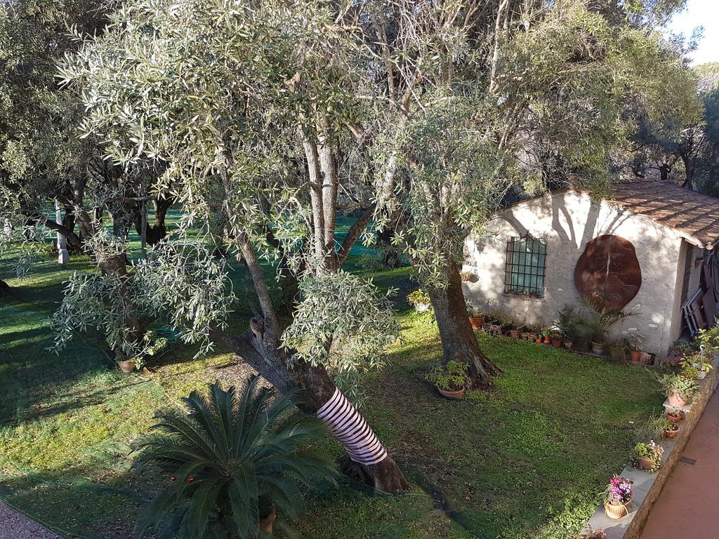 Antico Uliveto Guest House Seravezza Luaran gambar