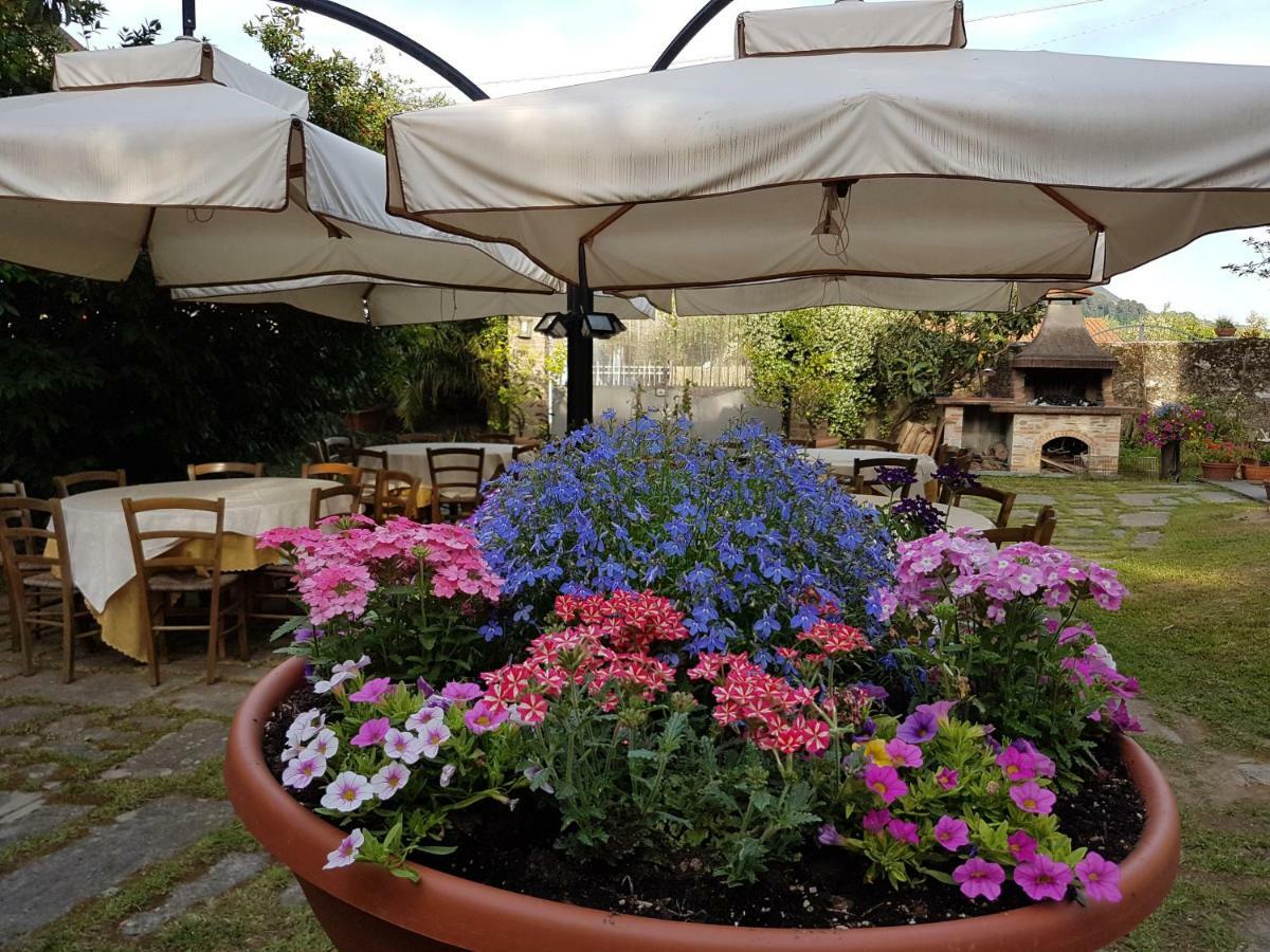 Antico Uliveto Guest House Seravezza Luaran gambar