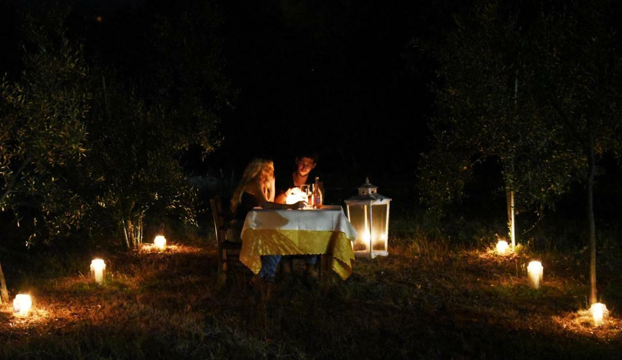 Antico Uliveto Guest House Seravezza Luaran gambar