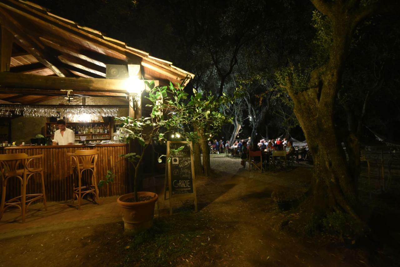 Antico Uliveto Guest House Seravezza Luaran gambar