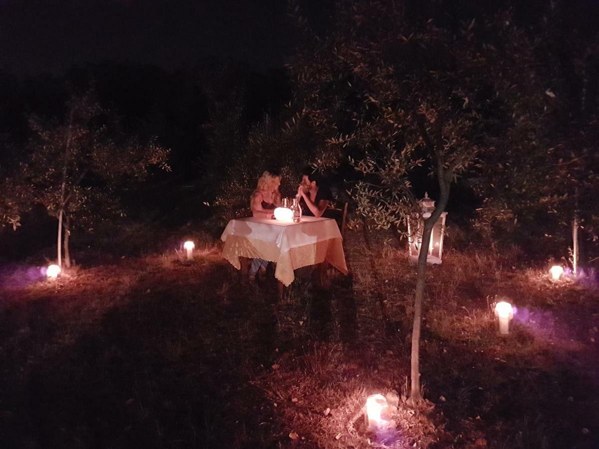 Antico Uliveto Guest House Seravezza Luaran gambar