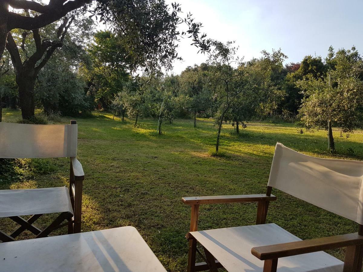Antico Uliveto Guest House Seravezza Luaran gambar
