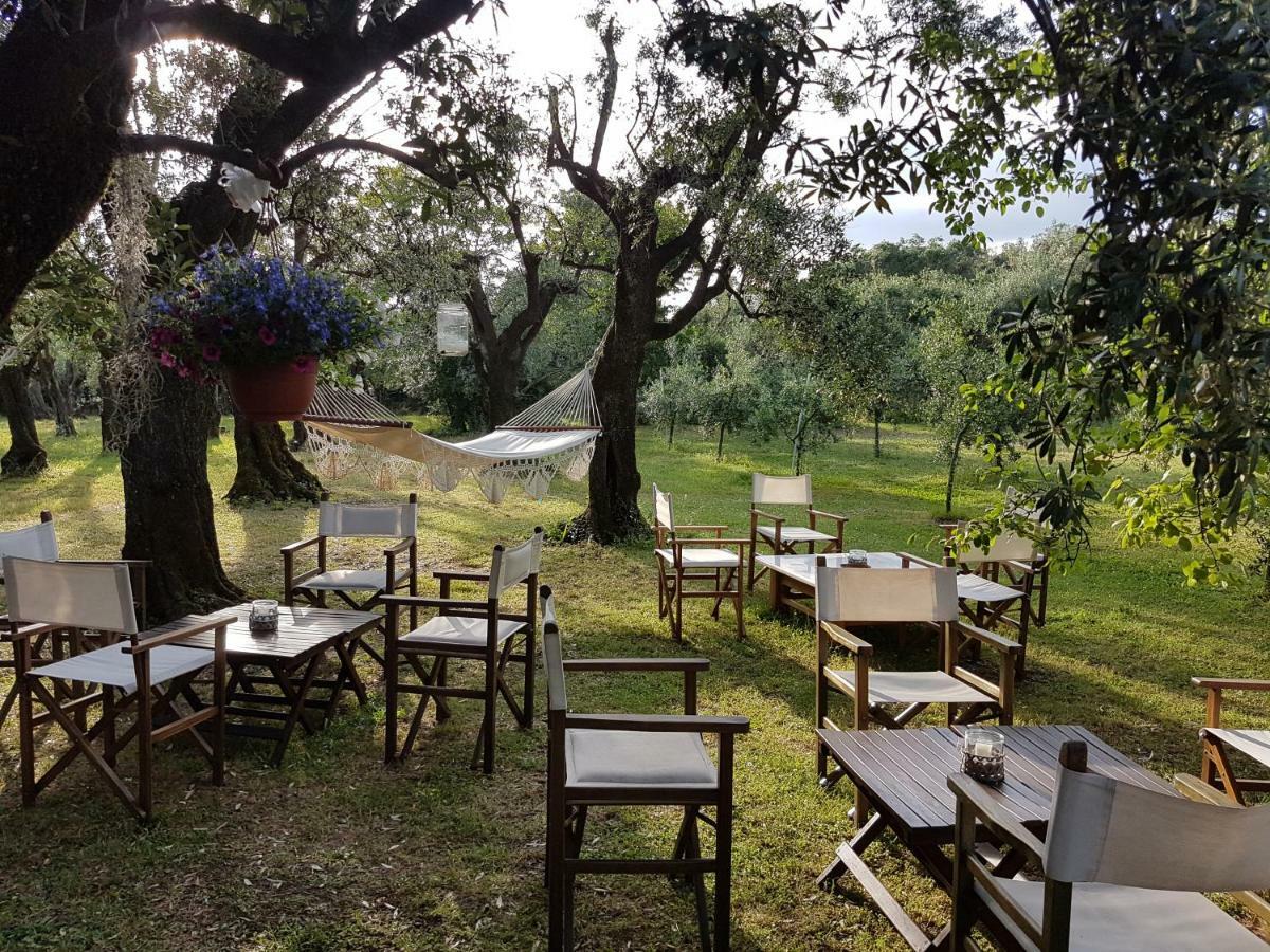 Antico Uliveto Guest House Seravezza Luaran gambar