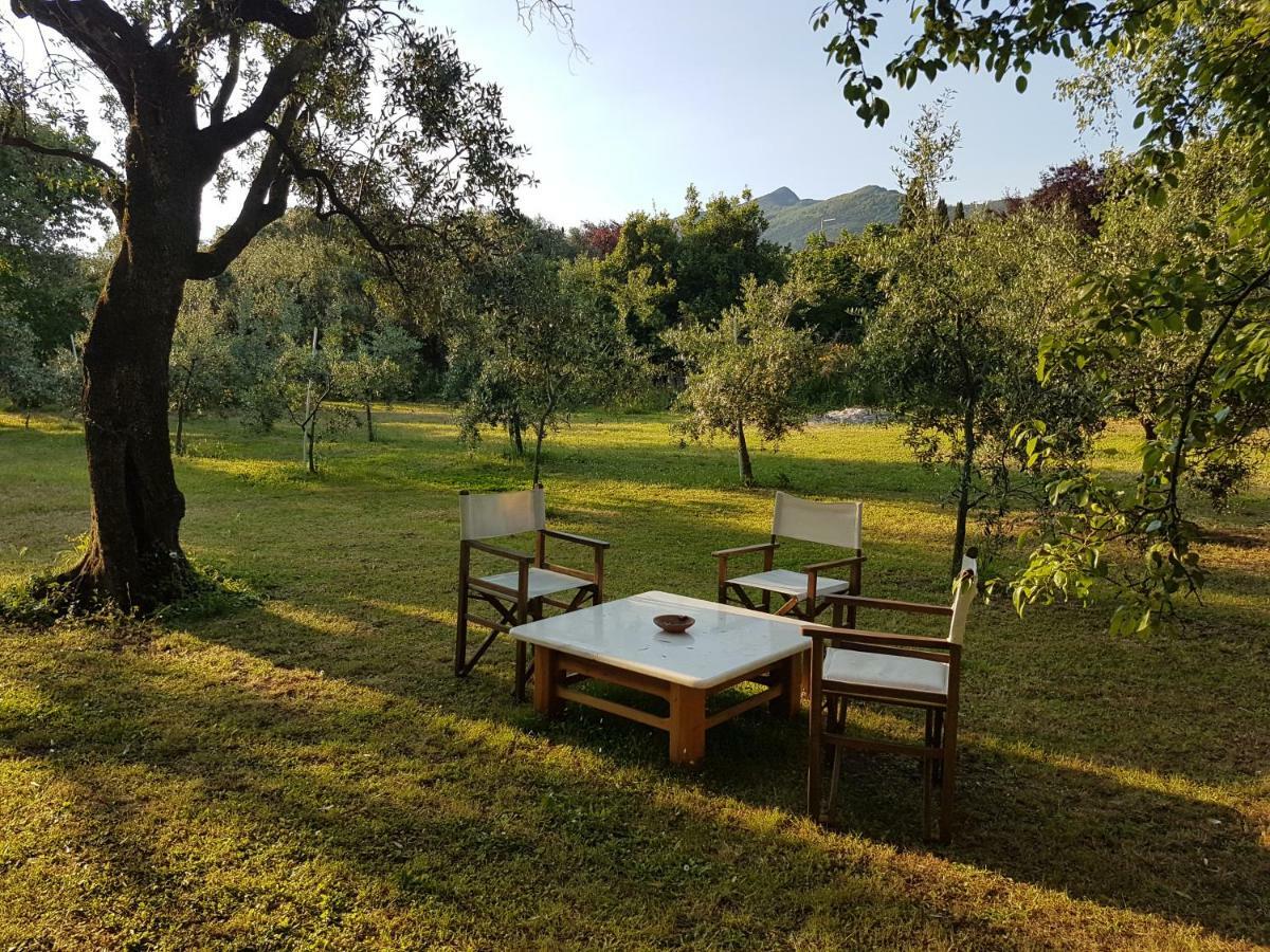 Antico Uliveto Guest House Seravezza Luaran gambar