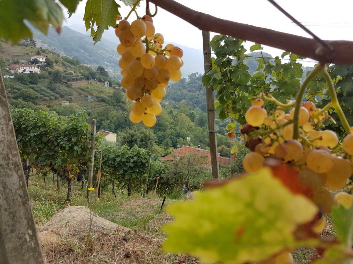 Antico Uliveto Guest House Seravezza Luaran gambar